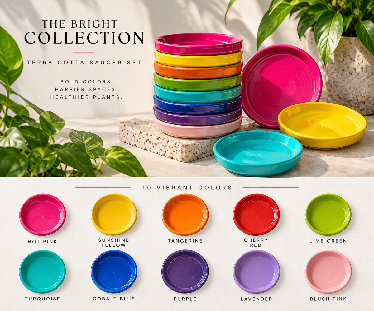 The Bright Collection | Saucer Set