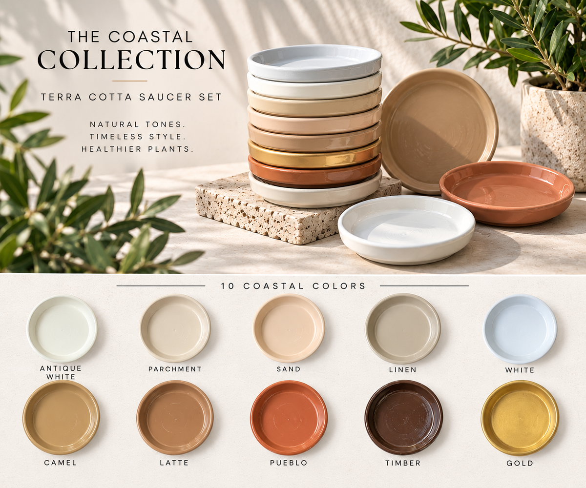 The Coastal Collection | Saucer Set