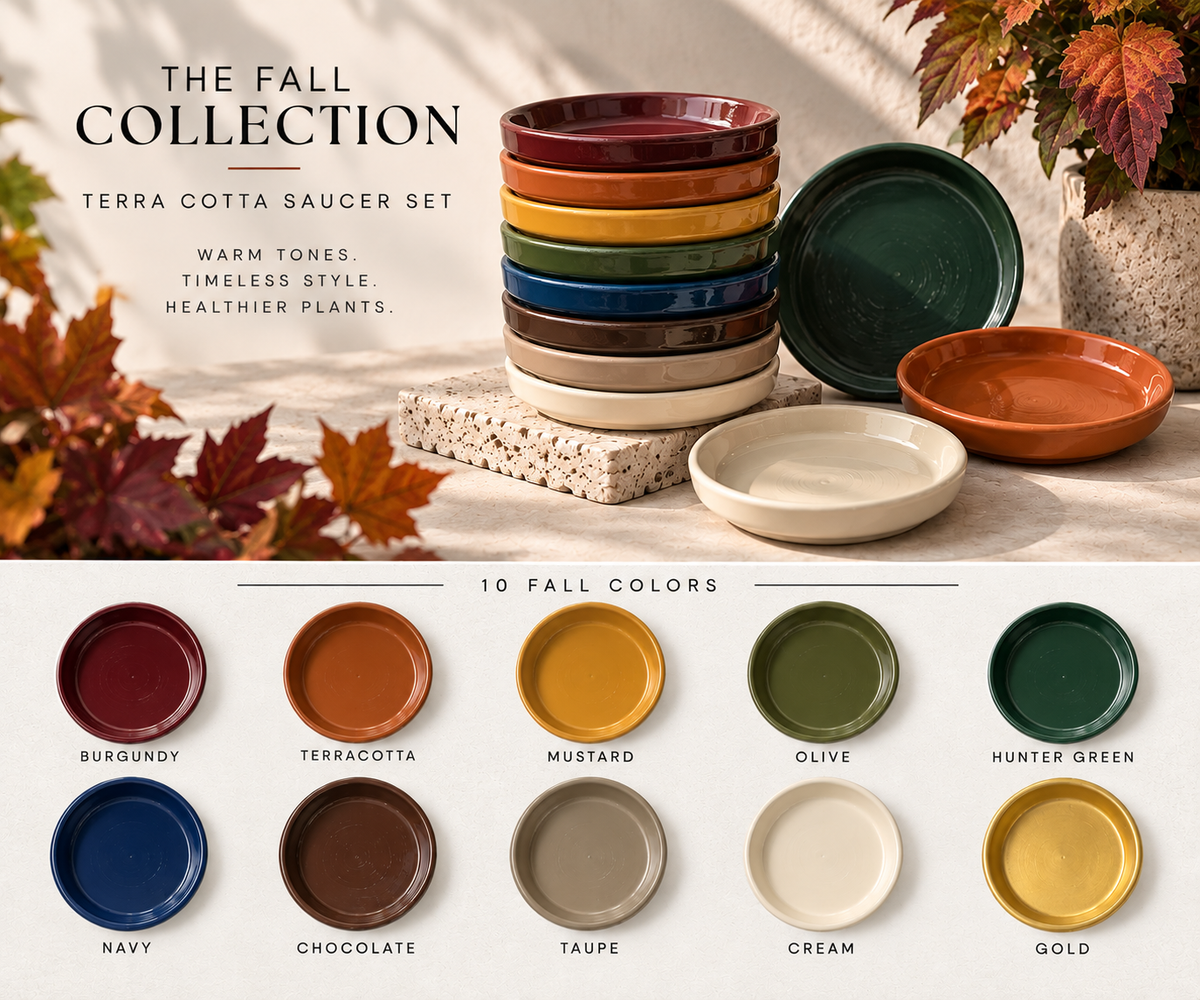 The Fall Collection | Saucer Set