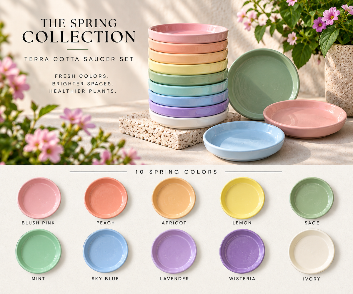 The Spring Collection | Saucer Set